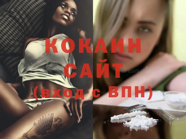 стаф Санкт-Петербург