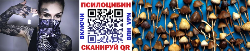 Галлюциногенные грибы мицелий Советская Гавань