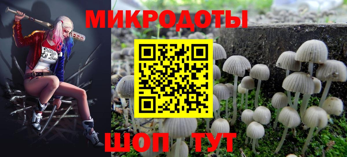 Псилоцибиновые грибы ЛСД Советская Гавань